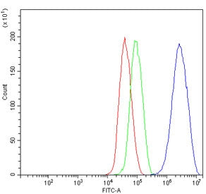 Dexras1 Antibody / RASD1