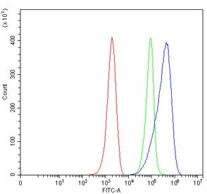 C5B Antibody / Complement C5B