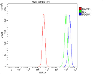 Flow Cytometry analysis of SH-SY5Y cells using anti-PDE8A antibody. Overlay histogram showing SH-SY5