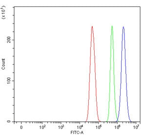 Flow cytometry testing of fixed and permeabilized human U-251 cells with MED17 antibody at 1ug/milli