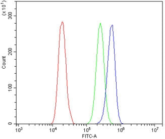 Flow cytometry testing of human A431 cells with BRM antibody at 1ug/million cells (blocked with goat