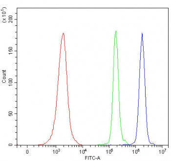 Flow cytometry testing of human JK cells with Spermine synthase antibody at 1ug/million cells (block