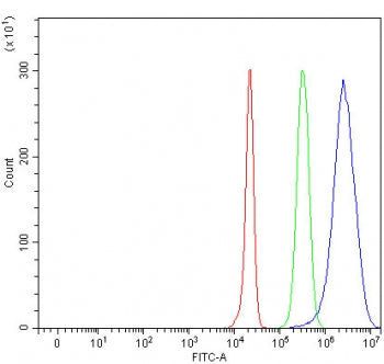 Alpha-1-Antichymotrypsin Antibody / AACT / SERPINA3