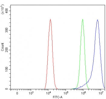 PLVAP Antibody / PV-1