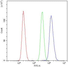 AKR1B1 Antibody