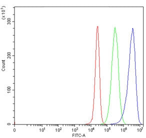 ZW10 Antibody