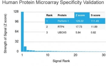 Analysis of HuProt(TM) microarray containing more than 19,000 full-length human proteins using Perfo