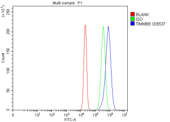 Flow Cytometry analysis of RT4 cells using anti-TIMM8B antibody. Overlay histogram showing RT4 cells