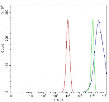 CEA Antibody / Carcinoembryonic Antigen