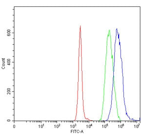 Flow cytometry testing of human Daudi cells with UBE2O antibody at 1ug/million cells (blocked with g