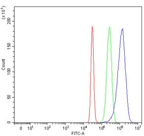 Flow cytometry testing of human HepG2 cells with Glypican 3 antibody at 1ug/million cells (blocked w