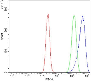 Flow cytometry testing of human Caco-2 cells with Beta Enolase antibody at 1ug/million cells (blocke