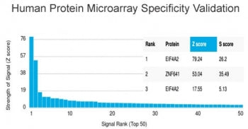 Analysis of HuProt(TM) microarray containing more than 19,000 full-length human proteins using EIF4A