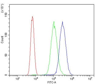 Flow cytometry testing of human U937 cells with HOMER3 antibody at 1ug/million cells (blocked with g