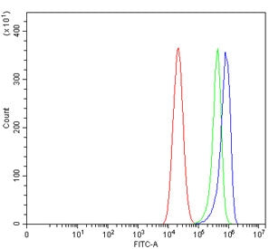 PIN1 Antibody