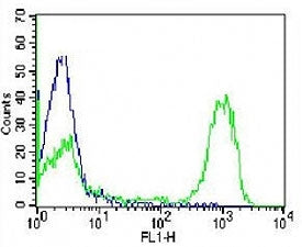 CD3 Antibody