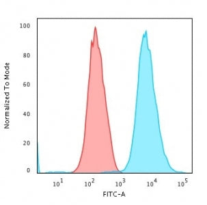 Flow cytometry testing of MeOH fixed human HeLa cells with Cytokeratin 18 antibody (clone DE-K18); R