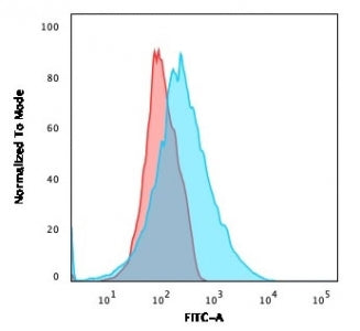 Flow cytometry testing of human Jurkat cells with PDL2 antibody; Red=isotype control, Blue= PD-L2 an