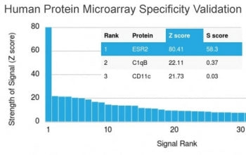 Analysis of HuProt(TM) microarray containing more than 19,000 full-length human proteins using Estro