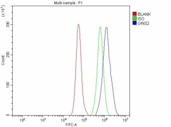 Flow Cytometry analysis of cells using anti-GINS2 antibody. Overlay histogram showing cells stained 