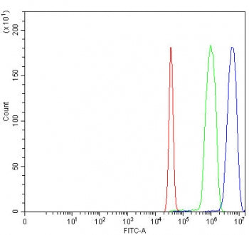 ITCH Antibody / AIF4