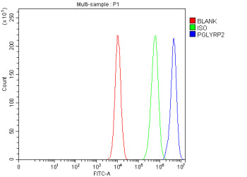 Flow Cytometry analysis of K562 cells using anti-PGLYRP2 antibody. Overlay histogram showing K562 ce