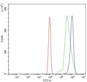Flow cytometry testing of mouse ANA-1 cells with Gbp2 antibody at 1ug/million cells (blocked with go