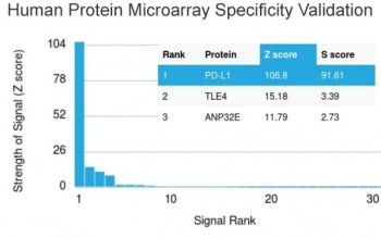 Analysis of HuProt(TM) microarray containing more than 19,000 full-length human proteins using PD-L1