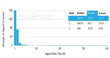 Analysis of a HuProt(TM) microarray containing more than 19,000 full-length human proteins using FGF