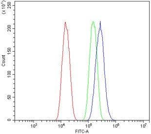 Flow cytometry testing of human A549 cells with Musashi 1 antibody at 1ug/million cells (blocked wit