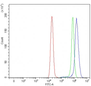 E2F1 Antibody