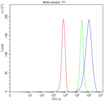 Western blot testing of DPYD antibody and human MDA-MB-231 cell lysate. Predicted molecular weight ~