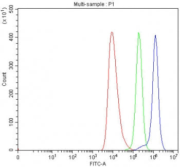 TNNI3K Antibody / TNNI3-interacting kinase