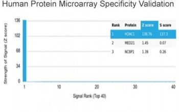Analysis of HuProt(TM) microarray containing more than 19,000 full-length human proteins using HDAC1