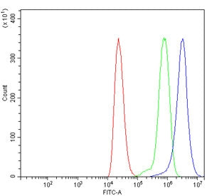 Flow cytometry testing of human ThP-1 cells with TBCA antibody at 1ug/million cells (blocked with go