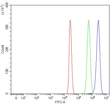 RIOK3 Antibody / RIO kinase 3 / SUDD