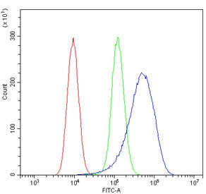 Flow cytometry testing of human HeLa cells with IGF-1 antibody at 1ug/million cells (blocked with go
