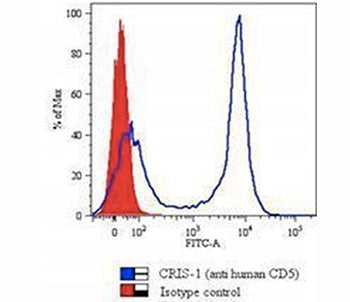 CD5 Antibody