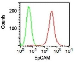 EpCAM Antibody