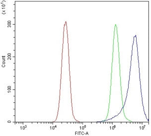 Flow cytometry testing of human K562 cells with Breakpoint cluster region protein antibody at 1ug/mi