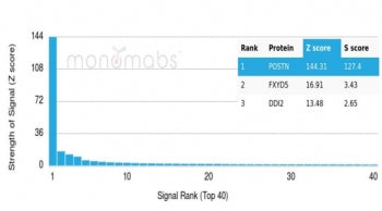 Analysis of a HuProt(TM) microarray containing more than 19,000 full-length human proteins using Per