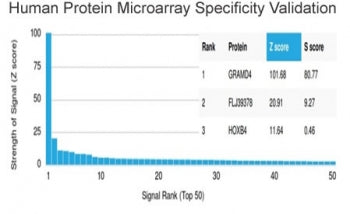 Analysis of HuProt(TM) microarray containing more than 19,000 full-length human proteins using GRAMD
