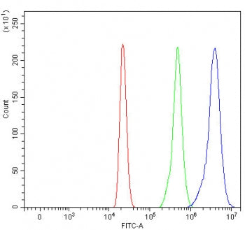 Myeloperoxidase Antibody / MPO
