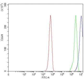 Relaxin 3 Antibody / RLN3