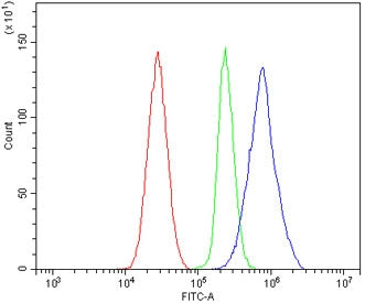 Flow cytometry testing of rat RH35 cells with Par1 antibody at 1ug/million cells (blocked with goat 