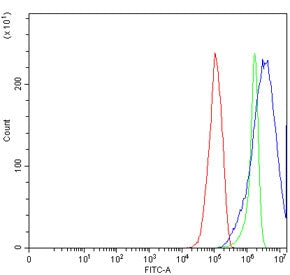 Flow cytometry testing of human RT4 cells with BBS8 antibody at 1ug/million cells (blocked with goat