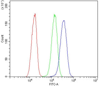 Flow cytometry testing of human HeLa cells with AXL antibody at 1ug/million cells (blocked with goat