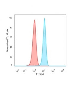 FRA2 Antibody / FOSL2