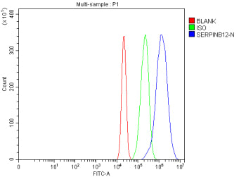 Flow Cytometry analysis of RT4 cells using anti-SERPINB12 antibody. Overlay histogram showing RT4 ce