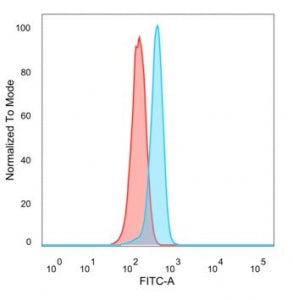 ZNF157 Antibody